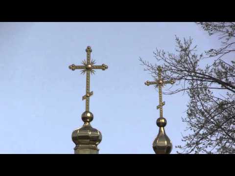 Видео: Ситковцы