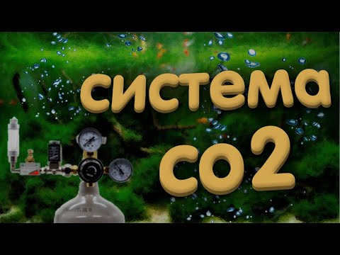 Видео: 💡 Баллонная система подачи CO2 в аквариум. От А до Я.
