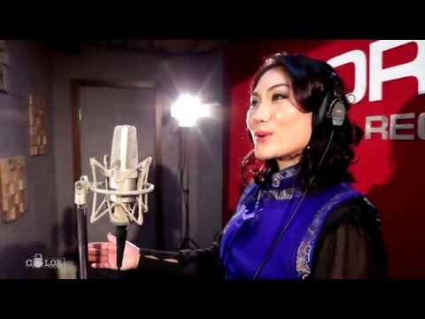 Видео: Дуучин Ч.Алтантүлхүүр "Малчны нөмөр"