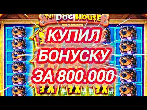 Видео: КУПИЛ БОНУСКУ ЗА 800к В СЛОТЕ THE DOG HOUSE MEGAWAYS! / ЗАНОСЫ НЕДЕЛИ В ДОГ ХАУС