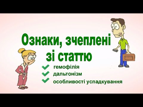 Видео: Ознаки, зчеплені зі статтю.  Біологія