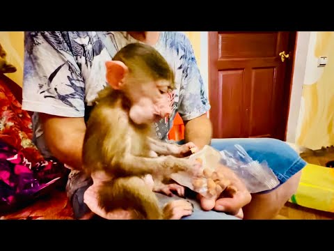 Видео: У Степы и Мани ДОБРОЕ УТРО начинается с вкусняшек!