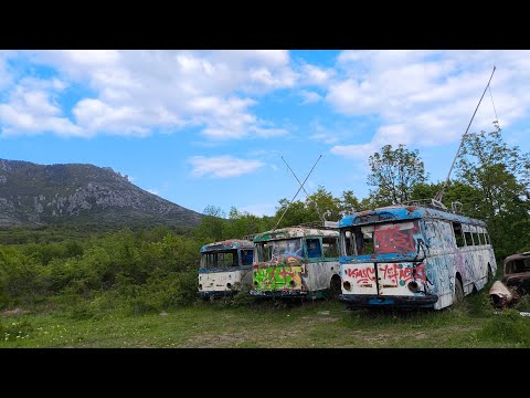 Видео: Списанные троллейбусы Skoda 9 tr №7774, 7703, 7791 #transport #транспорт #троллейбусы