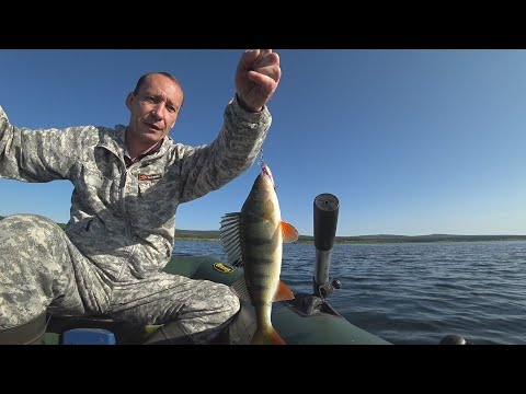 Видео: Рыбалка на окуня 2025