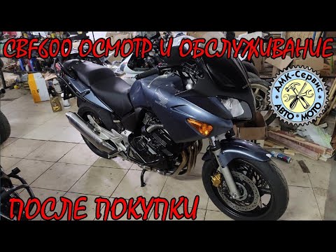 Видео: Осмотр после покупки  Honda CBF600 2004