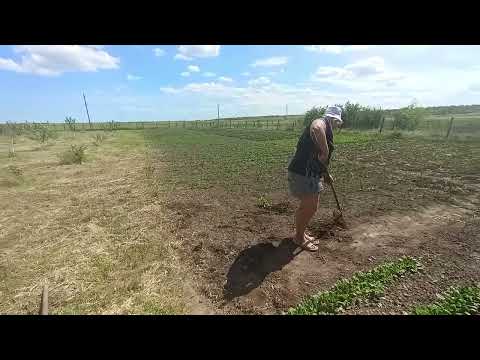 Видео: ЖИВУ ОДНА В ДЕРЕВНЕ / ВЕСЬ ДЕНЬ В ОГОРОДЕ