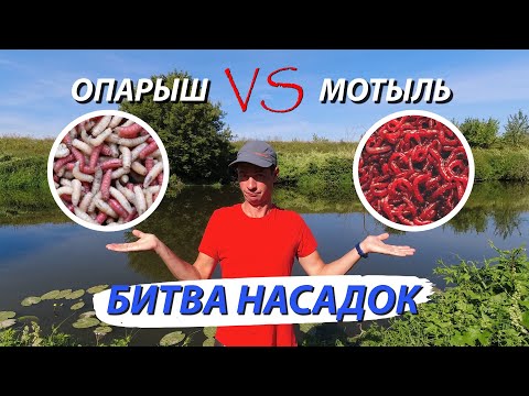 Видео: Рыбалка на два фидера! Эксперимент с насадками! В составе корма или нет. Опарыш против мотыля.
