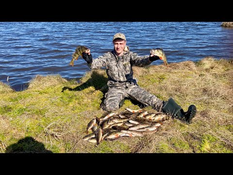 Видео: ПОШЛА ЖАРА! СТРАШНО ПРЕДСТАВИТЬ СКОЛЬКО ТУТ РЫБЫ ПОД ВОДОЙ. РЫБАЛКА 2024. Часть 1.