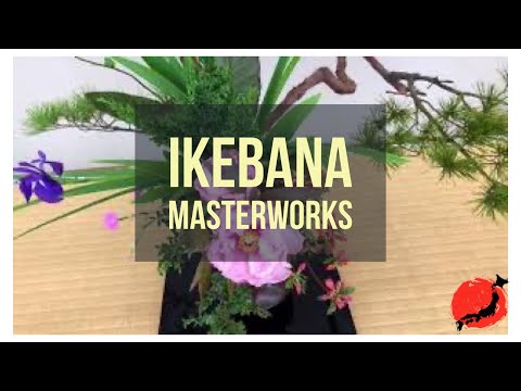 Видео: Шедевры икебаны, Киото, Япония, 2018