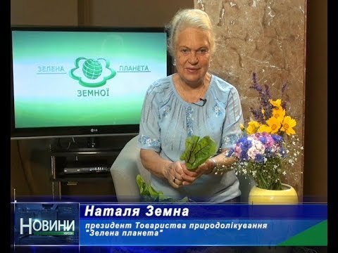 Видео: Зелена планета: Як по-розумному вітамінізувати свій організм влітку