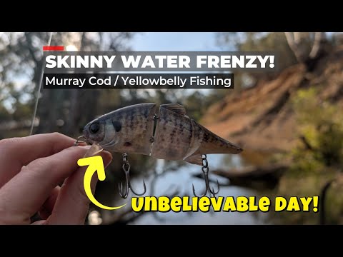 Видео: Skinny Water Frenzy — ловля мюррейской трески и желтобрюхого лосося