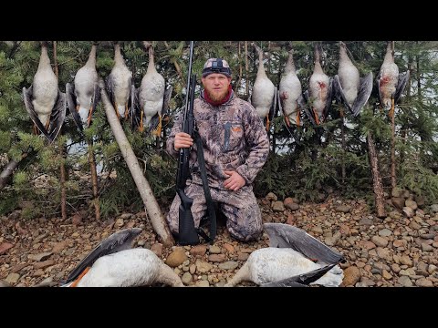 Видео: Охота на гуся в Якутии на дедовском озере осень 🍂 2024🍂