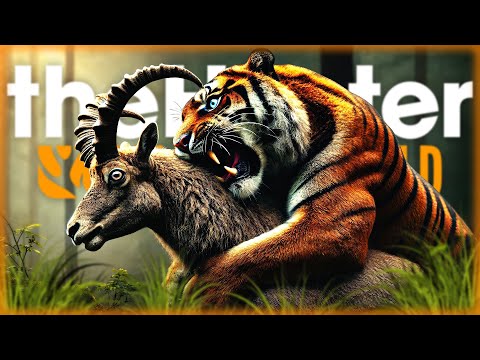 Видео: ОХОТНИЧЬИ ЗАДАНИЯ В ЗАКАЗНИКЕ СУНДАРПАТАН! | theHunter Call of the Wild 🐶 | Часть #2