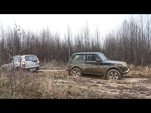 Видео: ОХОТА В МЕДВЕЖЬЕМ УГЛУ. ПОМОГ ВЫТАЩИТЬ НИВУ С БОЛОТА. ОХОТА НА РЯБЧИКА С РУЖЬЕМ ИЖ-54.