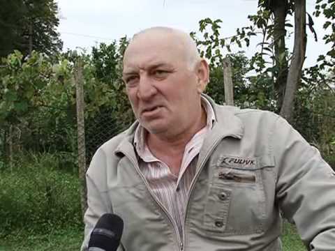 Видео: Роберт Чаабал - "Аибашьҩы иҭоурых". "Savaşçının hikayesi". "История воина"