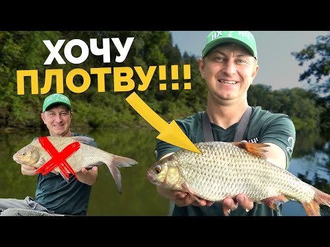 Видео: ‼️ПЛОТВА МОНСТР‼️ ЛЕЩИ НАДОЕЛИ 🤯 Охотимся за БАТОНАМИ👌Рыбалка на Днепре! Фидер на реке!