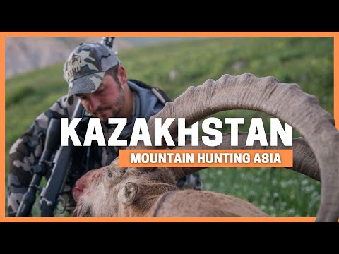 Видео: Охота на гигантского козерога в Казахстане 🔥 Мы с папой выиграли эту конную охоту втрое.