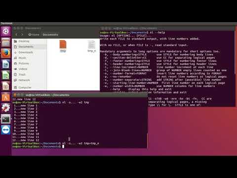 Видео: Linux команда nl и команда cat - команды обработки текстовых файлов.