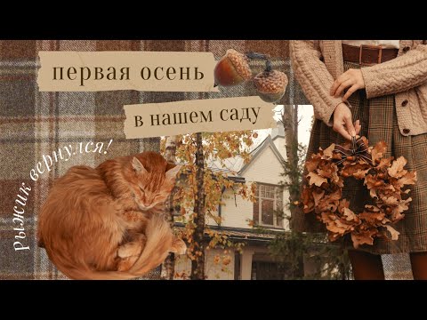 Видео: Первая осень в нашем саду | таинственная дверь, дорожки, возвращение Рыжика