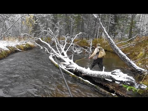 Видео: Ловля,Рыбалка на ХАРИУСА- первый СНЕГ/Белая ТАЙГА угостила ХАРИУСОМ!