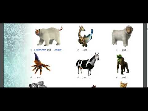 Видео: ағылшын тілі жануарлар eyes open1  living things