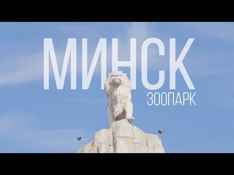 Видео: Минский зоопарк 4К | Minsk Zoo | Relaxation Film | Минск Беларусь 2024