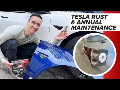 Видео: Ежегодное техническое обслуживание и проблемы с ржавчиной на Tesla Model 3