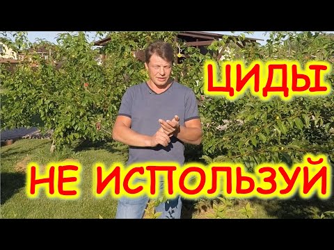 Видео: что такое пестициды гербициды фунгициды? простым языком про ЦИДЫ!!! для чего нужны гербициды