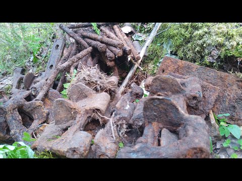 Видео: Отличная разведка старых усов !!! Нашел тракторную стоянку . #копметалла  #металлокоп 