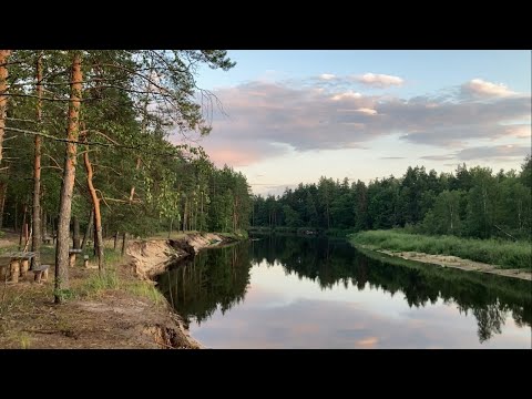Видео: Кемпинг на реке с палаткой. На природе с детьми. Большое летнее путешествие. #life #nature #кемпинг