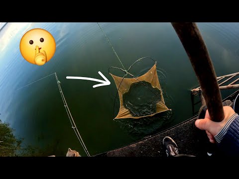 Видео: 🐠 Малявки против котов: кто победит в этой схватке? 🐱