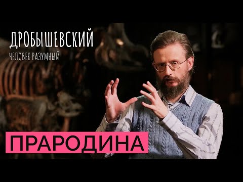 Видео: Кения — место, где возник человек // Дробышевский