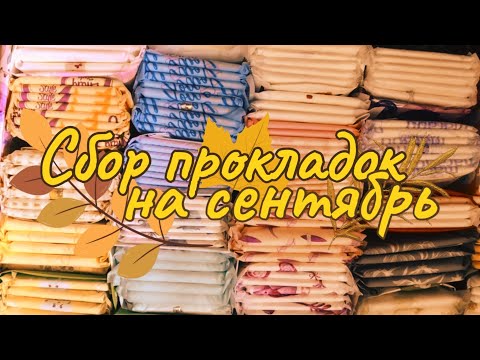 Видео: сбор прокладок на сентябрь 2025