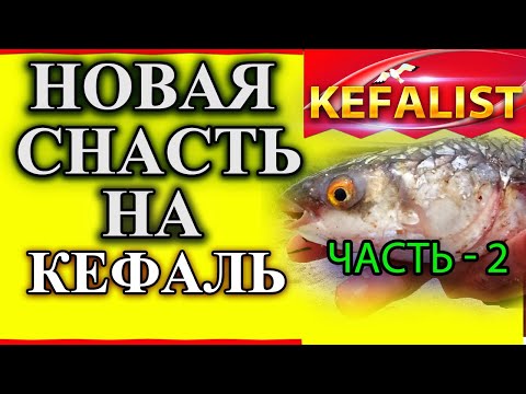 Видео: НОВАЯ СНАСТЬ на кефаль - ДВА ПОПЛАВКА!  АЛЬТЕРНАТИВА  донной снасти для рыбалки на пеленгаса, лобань