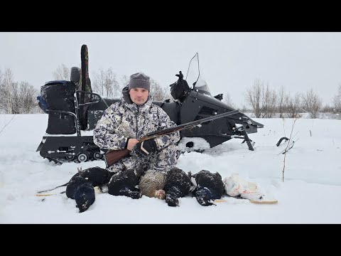 Видео: ОХОТА НА ТЕТЕРЕВА НА ЛУНКАХ С РУЖЬЕМ ИЖ-54. НАШЕЛ СТАЮ НА КРАЮ ОЗЕРА. ТОЧНЫЕ ВЫСТРЕЛЫ В ЛЕТ.