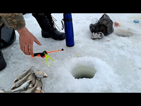 Видео: Зимняя рыбалка Талдыкорган. Главное процесс. #рыбалка