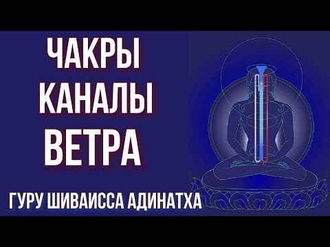 Видео: Чакры, каналы и ветра тела Будды- Гухьясамаджа тантра. Гуру Шиваисса Адинатха