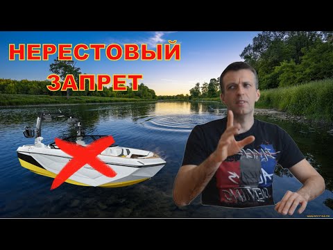 Видео: НЕРЕСТОВЫЙ ЗАПРЕТ - можно ли кататься на лодке в запретный период? Звоним в ГИМС и РЫБНАДЗОР