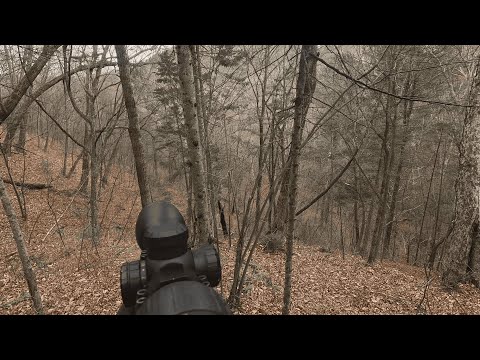 Видео: Охота на Изюбря в Приморском Крае.\\ Октябрь.