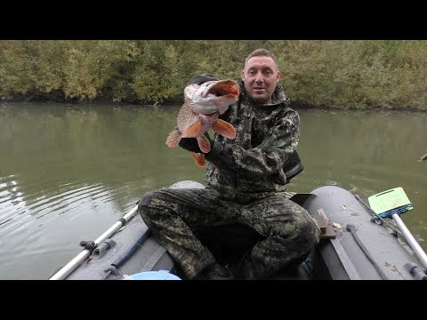 Видео: Щуки рвали и КУСАЛИ\ один  на рыбалке\ Fishing stories.