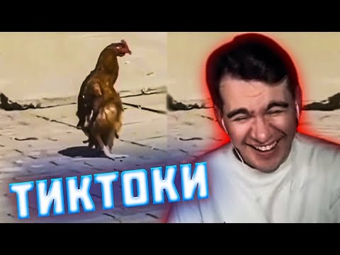 Видео: БРАТИШКИН СМОТРИТ ВЕБМЫ ПРИКОЛЫ МЕМЫ СМЕШНЫЕ ВИДЕО В ТИКТОКЕ