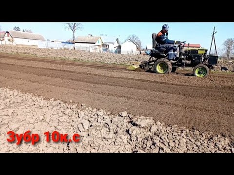 Видео: Мототрактор Zubr, культивація і посадка картоплі 🚜👫