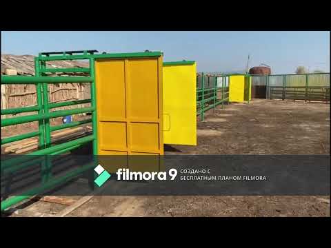 Видео: Самодельный раскол для КРС и лошадей/Ручная работа/Developing farm