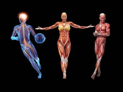 Видео: Сіздің ДЕНЕҢІЗ неден құралған? Адам денесінің ҚҰНЫ қанша?