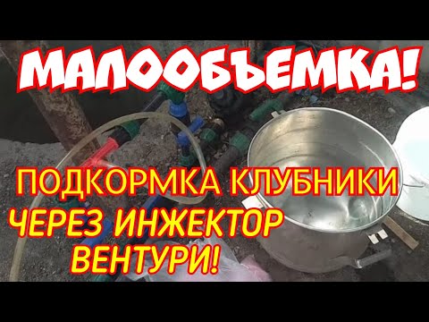 Видео: Малообъемка!Первая подкормка через инжектор вентури!