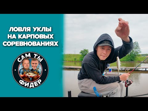 Видео: Уклейка против Карпов / Удастя ли победить?