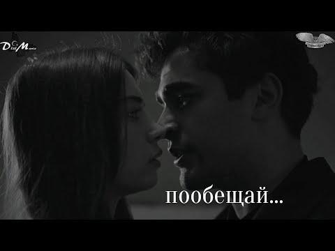 Видео: Сейран и Ферит//пообещай//зимородок