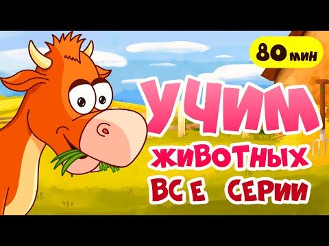 Видео: РАЗВИВАЮЩИЕ МУЛЬТИКИ про животных для детей! Звуки животных и другие серии для самых маленьких