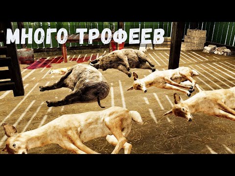 Видео: Farmer's Life - Очень МНОГО поймал КАПКАНАМИ # 67