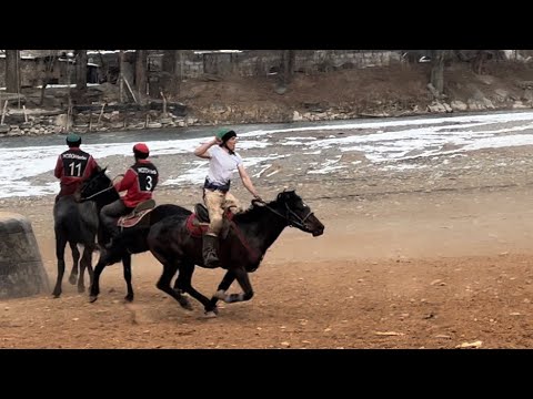 Видео: Кабылан-Көл vs Корул Жолон Балбан!!  Алайдан Областка жолдомо #кыргызстан #кокбору #ош #алай